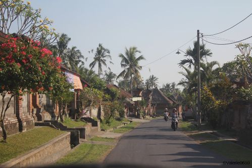 BALI-SUITE 2124-WEB