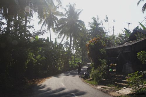 BALI-SUITE 2129-WEB