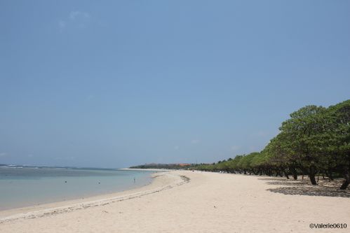 BALI-SUITE 2222-WEB