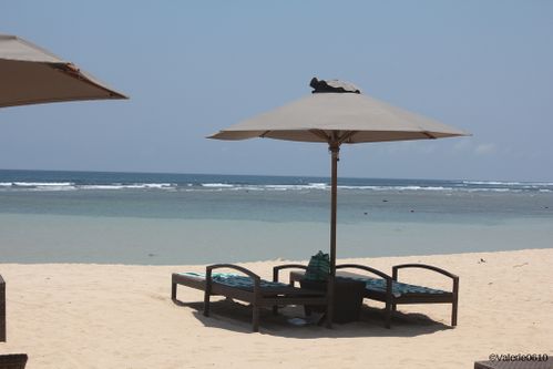 BALI-SUITE 2227-WEB