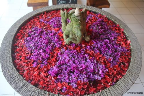 BALI-SUITE 2229-WEB