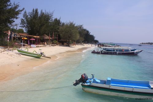 BALI-SUITE 2331-WEB