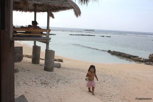 BALI-SUITE 2346-WEB