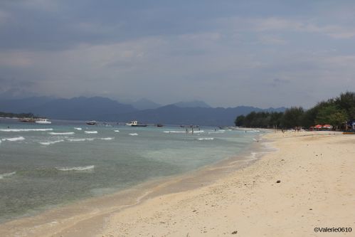 BALI-SUITE 2348-WEB