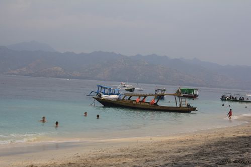 BALI-SUITE 2352-WEB