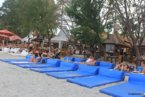 BALI-SUITE 2355-WEB