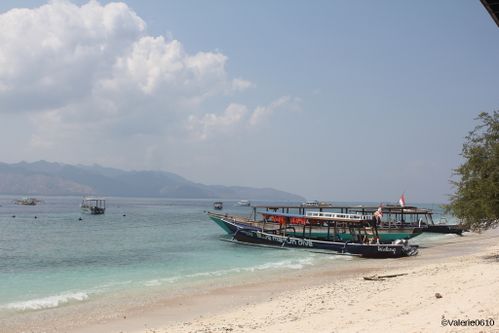 BALI-SUITE 2421-WEB