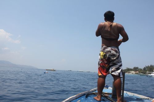 BALI-SUITE 2428-WEB