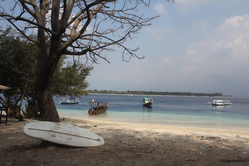 BALI-SUITE 2453-WEB