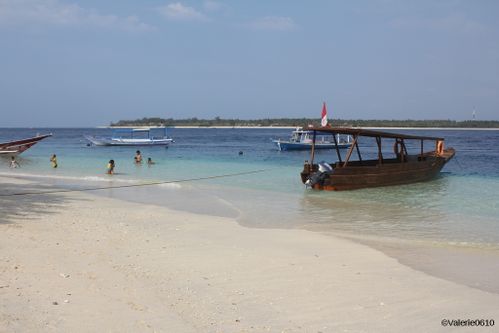 BALI-SUITE 2454-WEB