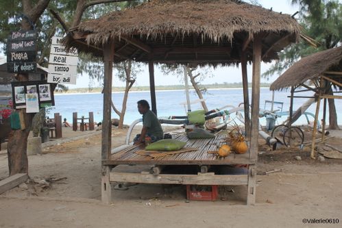 BALI-SUITE 2457-WEB