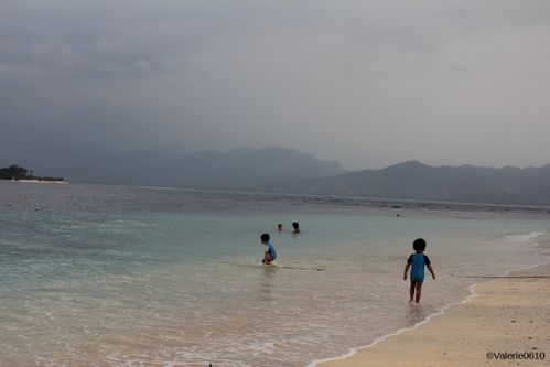 BALI-SUITE 2463-WEB