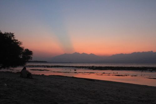 BALI-SUITE 2472-WEB