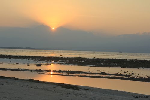 BALI-SUITE 2483-WEB