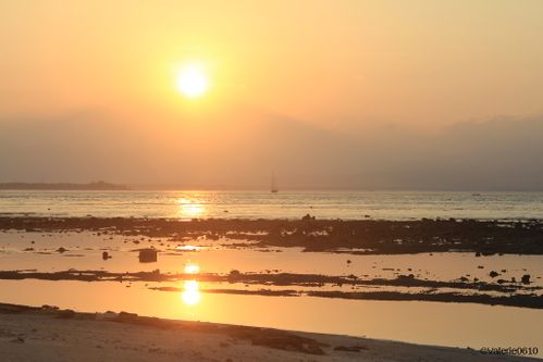 BALI-SUITE 2490-WEB
