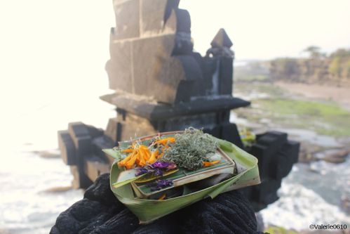 BALI-SUITE 2507-WEB