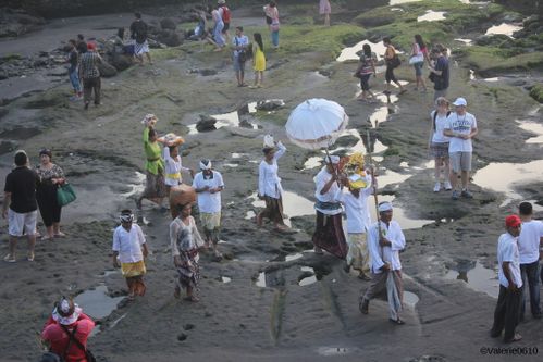 BALI-SUITE 2556-WEB