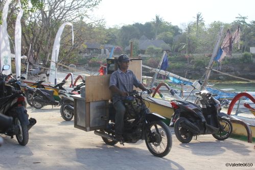 BALI-SUITE 2575-WEB