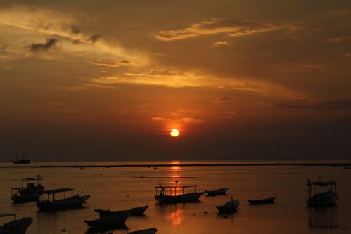 BALI-SUITE 2582-WEB