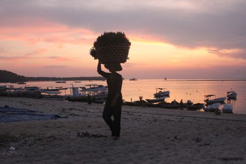 BALI-SUITE 2606-WEB
