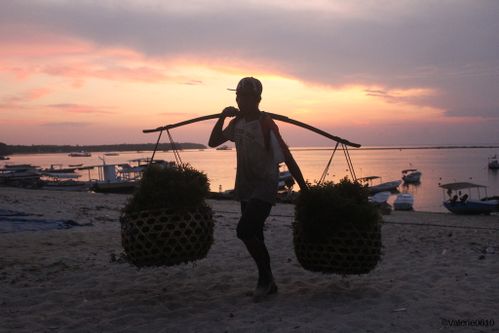BALI-SUITE 2607-WEB