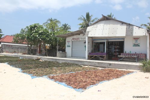 BALI-SUITE 2634-WEB