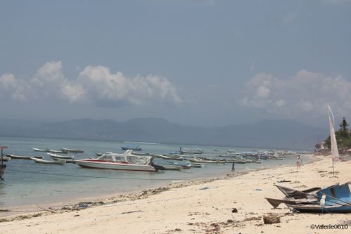 BALI-SUITE 2635-WEB