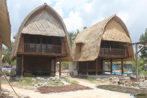 BALI-SUITE 2641-WEB