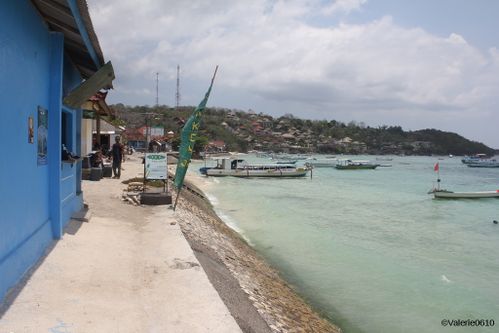 BALI-SUITE 2647-WEB