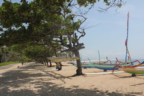 BALI-SUITE 2677-WEB