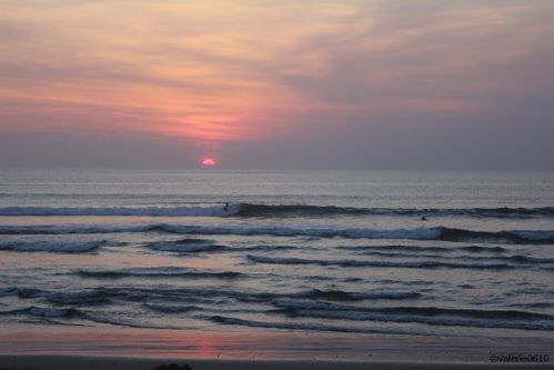 BALI-SUITE 2717-WEB