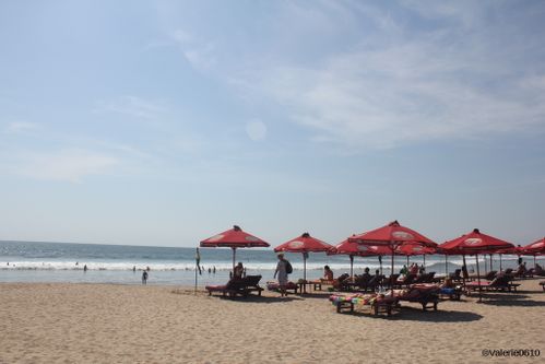 BALI-SUITE 2736-WEB