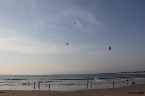 BALI-SUITE 2740-WEB
