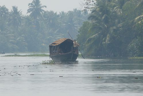 Balade dans les backwaters depuis Cochin