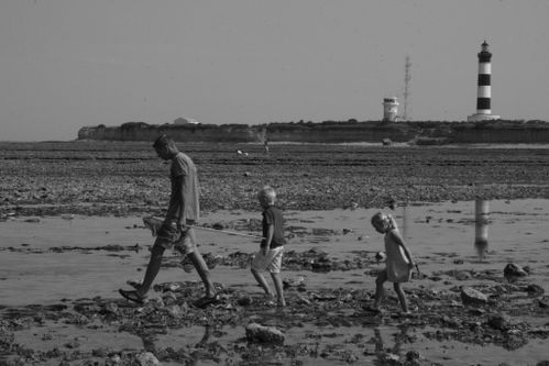 2014-07-25 oleron 021 (1024x683)
