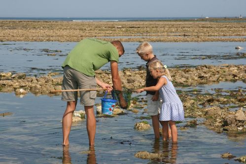 2014-07-25 oleron 023 (1024x683)