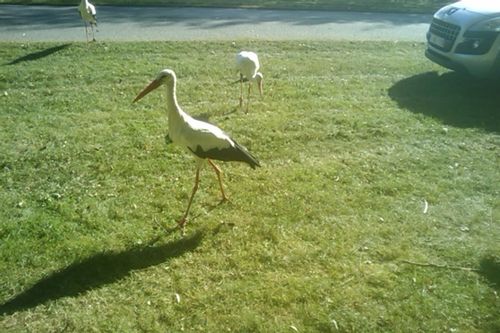 IMAG0844.jpg