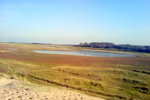 IMAG0862.jpg