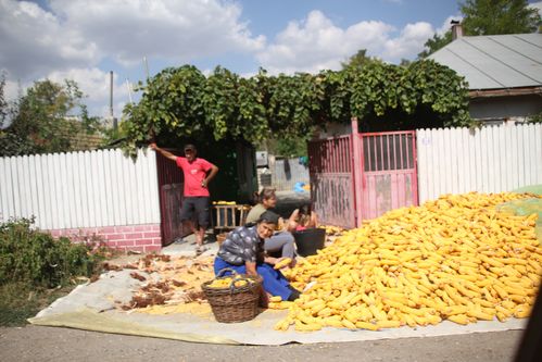 roumanie-8044.JPG