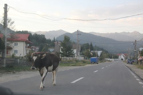 roumanie-8230.JPG