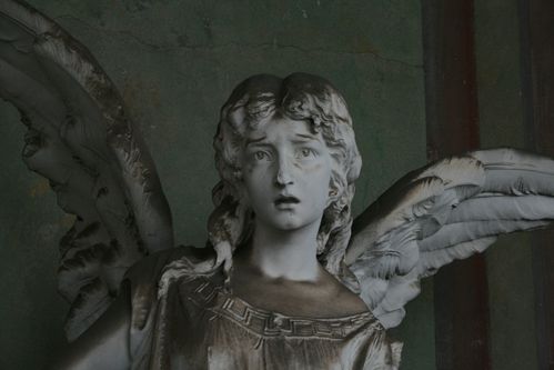 nouvelles-photos 4580