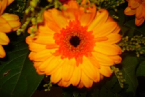 DSC03594.JPG