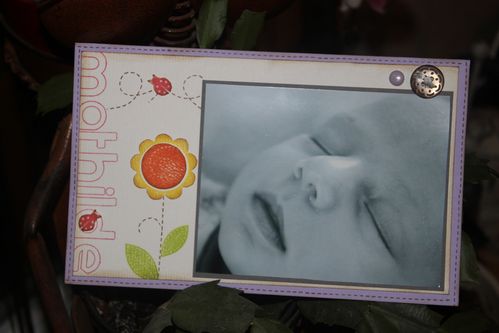 des-reas-avec-scrap-a-la-carte--. 3417
