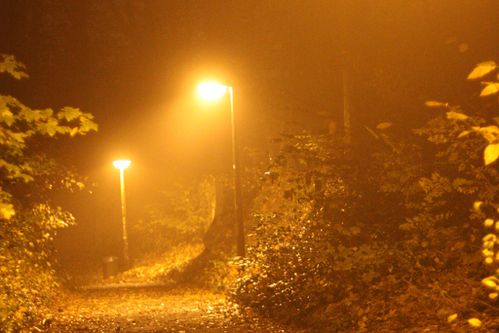 2011-0049.JPG
