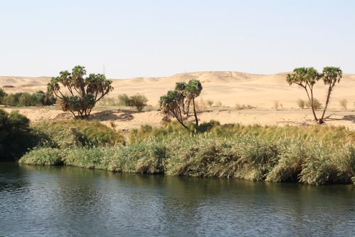 Croisière Egypte 0823