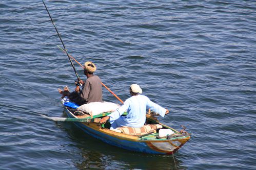 Croisière Egypte 0845