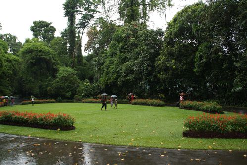 Sri-Lanka 2476