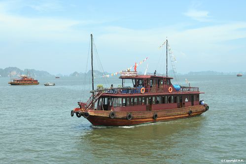 bateau touristes