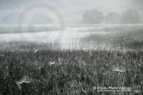 stage-photo-2013-vosgescBENNERY-Lorraine-96.jpg