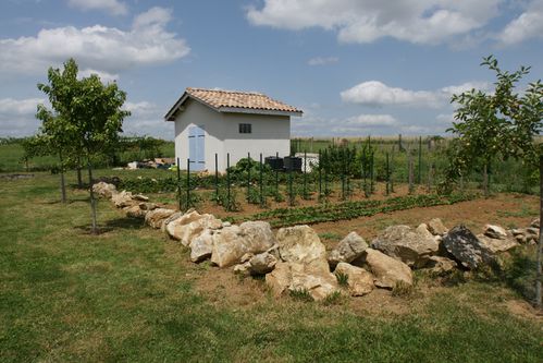 DSC02098